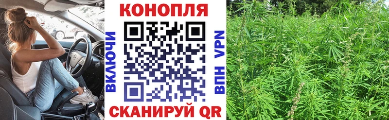 Каннабис Bruce Banner Урус-Мартан